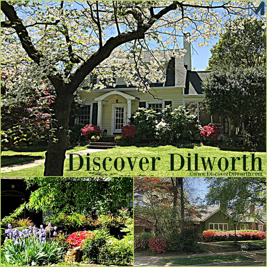 Discover Dilworth